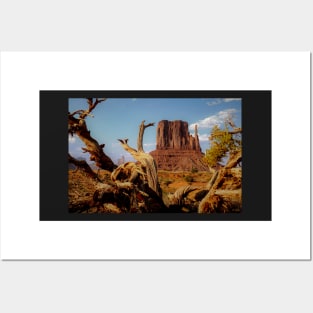 Monument Valley in Desert Southwest Posters and Art